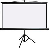 Проекционный экран PL Magna TRM-PC-113D