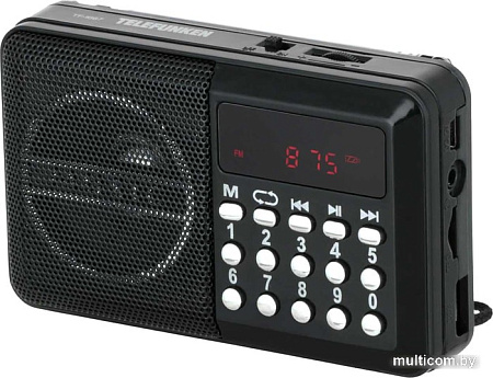 Радиоприемник TELEFUNKEN TF-1667