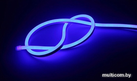 Гибкий неон ЭРА N2835-120-IP67-220V-20m-B