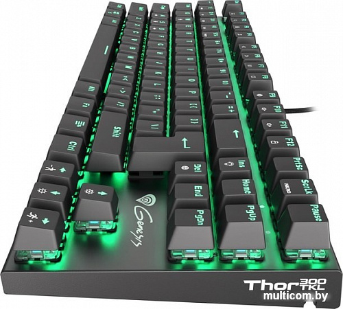 Клавиатура Genesis Thor 300 TKL