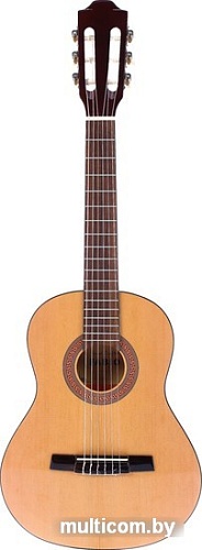 Акустическая гитара Fabio FC02 N