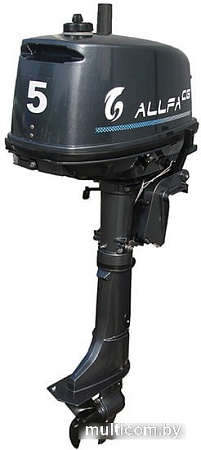 Allfa T5