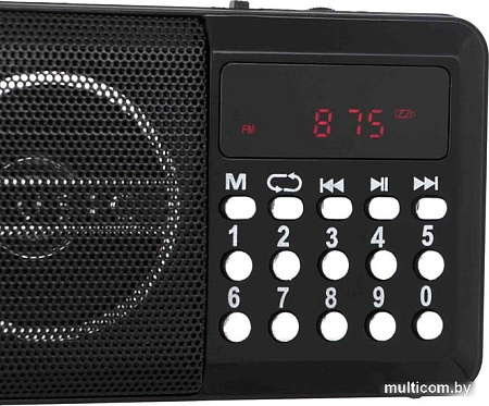 Радиоприемник TELEFUNKEN TF-1667