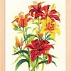 Набор для вышивания Риолис Солнечные лилии № 1782