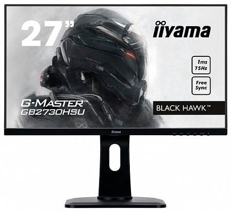 Монитор Iiyama G-Master GB2730HSU-1