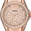 Наручные часы Fossil ES2811