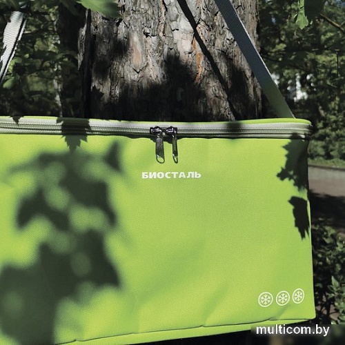 Термосумка BIOSTAL Кантри TCD-G 10л (зеленый лайм)