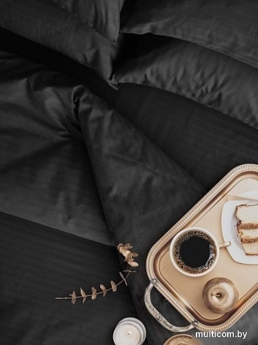 Постельное белье Verossa Stripe 240/260 01 70005 (Black)