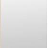 Зеркало Трия Хилтон Исп.2.1 (дуб крафт золотой)