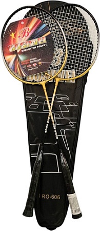 Теннис/бадминтон Ausini Pro-606