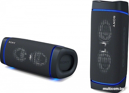 Sony SRS-XB33 (черный)