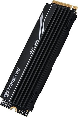 SSD Transcend 250H 2TB TS2TMTE250H