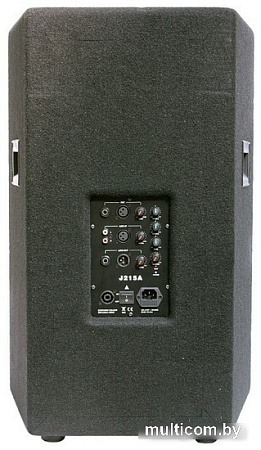 Активная акустика Soundking J215A