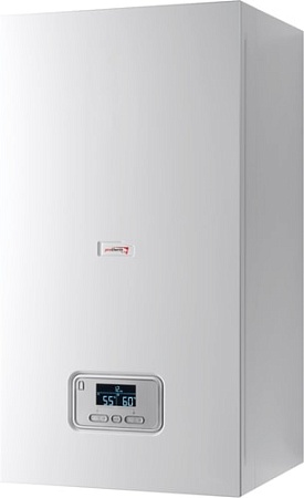 Отопительный котел Protherm Ray (Скат) 21 KE /14 0010023651