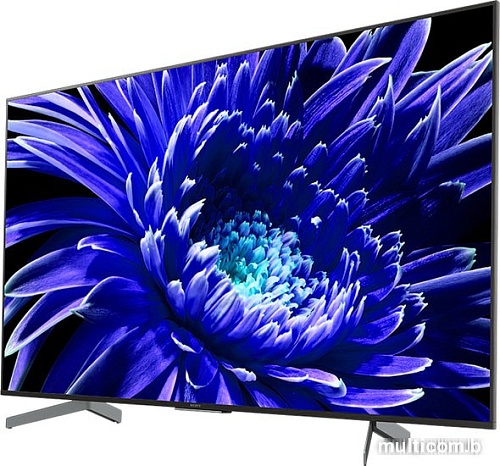 Телевизор Sony KD-65XG8596