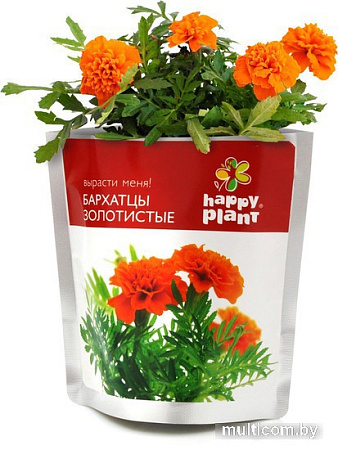 Набор для опытов Happy plant Бархатцы золотистые hpn-30