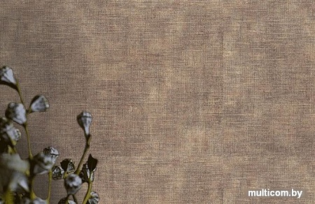 Флизелиновые обои Euro Decor Remy 7061-12