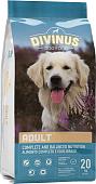 Сухой корм для собак Divinus Adult 20 кг