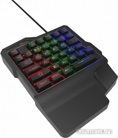 Клавиатура Ritmix RKB-209BL