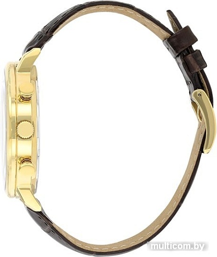 Наручные часы CITIZEN AN3612-09P