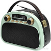 Радиоприемник Ritmix RPR-040 (мятный)