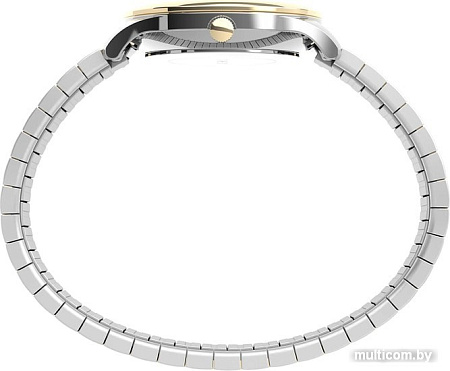 Наручные часы Timex TW2U40400