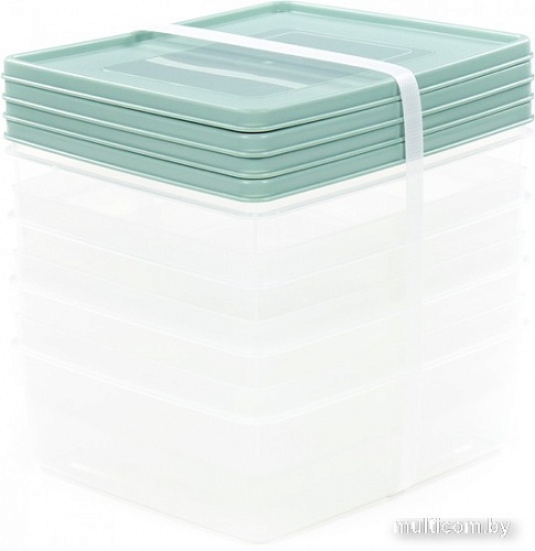 Набор контейнеров Полесье №13 2л с крышками 73713 (4 шт, прозрачный/бледно-оливковый)