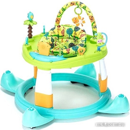 Ходунки Nuovita Gioco (зеленый/бирюзовый)