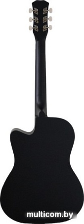 Акустическая гитара Belucci BC3820 BK