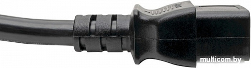 Удлинитель Tripp Lite P036-002