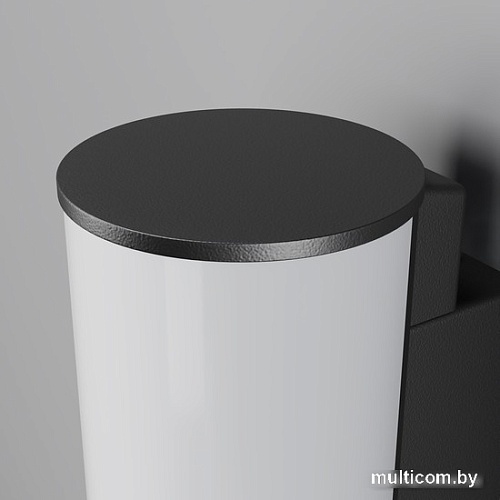 Уличный настенный светильник Maytoni Rock O434WL-L12GF3K