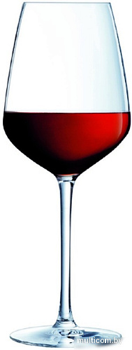 Набор бокалов для вина Gipfel Vina Juliette 51133 (2 шт)