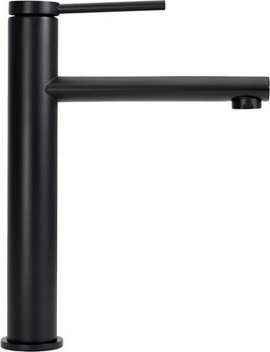 Смеситель Rea Oval B6511 (черный)