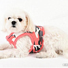 Шлейка Puppia Ensign PASA-HB1601-PC-L (розовый)