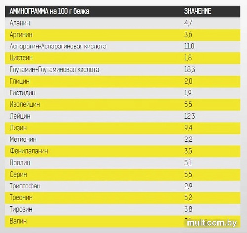 Протеин Binasport Excellent Isowhey Protein (750г, персик)