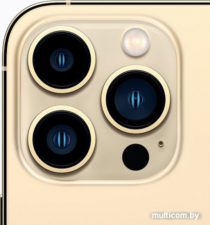 Смартфон Apple iPhone 13 Pro 128GB (золотой)