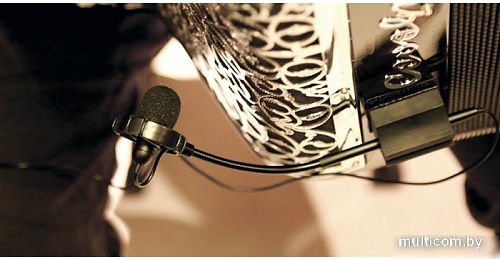 Комплект проводных микрофонов Prodipe AL21 Romanelli Accordion