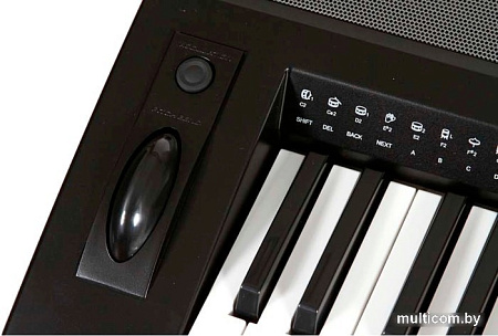 Синтезатор Medeli A800