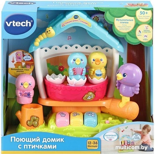 Сортер VTech Поющий домик с птичками 80-522426