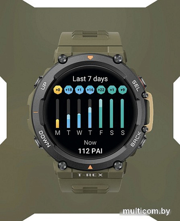 Умные часы Amazfit T-Rex 2 (дикий зеленый)