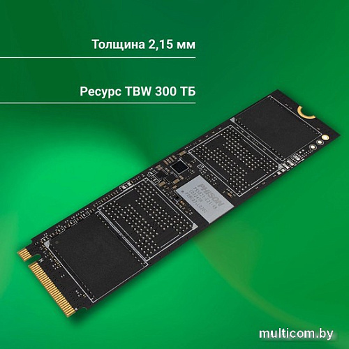 SSD Digma Meta P21 512GB DGSM4512GP21T