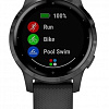 Умные часы Garmin Vivoactive 4s (черный/серый)