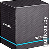 Наручные часы Casio LW-203-2AVEF