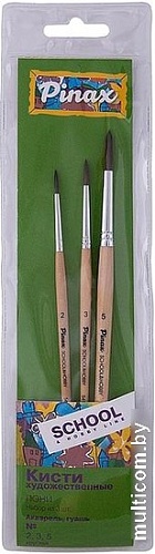 Набор кистей Pinax School & Hobby 529993 (3 шт)