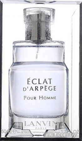 Туалетная вода Lanvin Eclat d'Arpege Pour Homme EdT (100 мл)