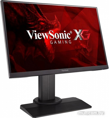 Монитор ViewSonic XG2405