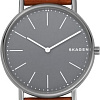 Наручные часы Skagen SKW6429
