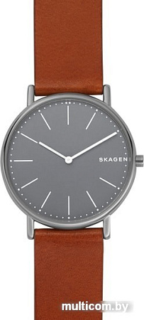 Наручные часы Skagen SKW6429