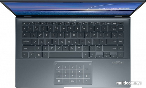 Ноутбук ASUS ZenBook 14 UX435EA-A5049R