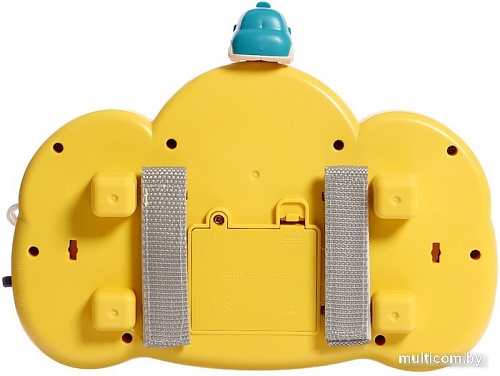 Развивающая игрушка Sima-Land 66629943250